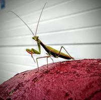 Nathan Cramer's profile image