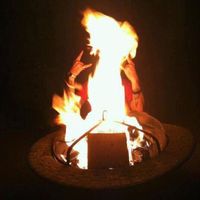 Tim Lamborn's profile image