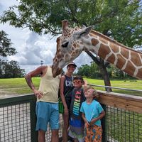 John Zervas's profile image