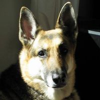 Brynadette Powell's profile image