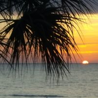 Mark Beauchamp's profile image