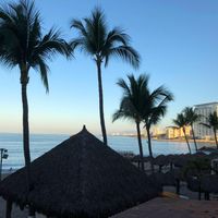 Kathy Wysocki's profile image