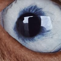 Troy Ellis's profile image