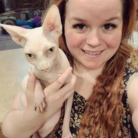 Carmen Nally's profile image