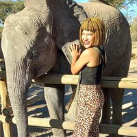Dorcas Gazelle's profile image