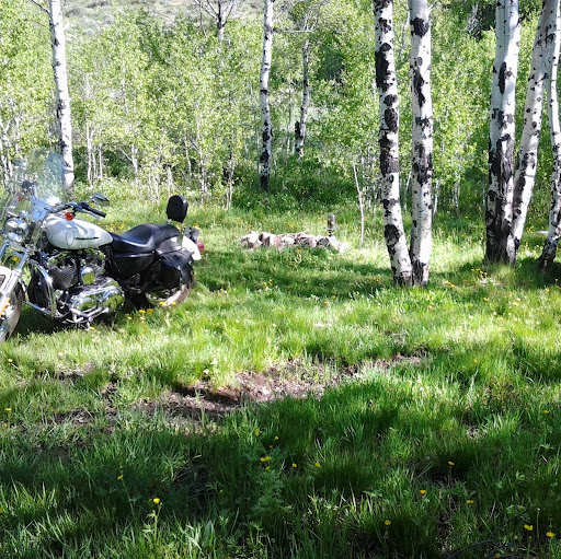 Rick Blessinger's profile image