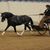 Cindy Bellis-Jones's profile image