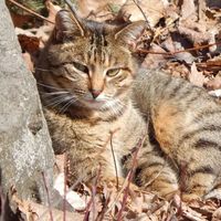 Terri Mason Wright's profile image