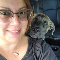 Subeth Vanderwiele - Gonzalez's profile image