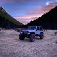 Damon Rose's profile image