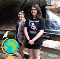 Robert Brown's profile image