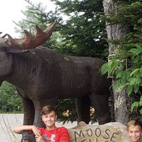 Kevin Lamothe's profile image