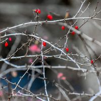 Lynne D Gravell's profile image