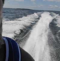 John Thomas's profile image
