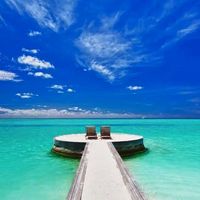 Cambra Mickey Jay's profile image