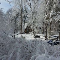 Charlene Shippee Zacksher's profile image