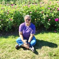 Lynn Cooper's profile image