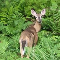 Jim Coté's profile image