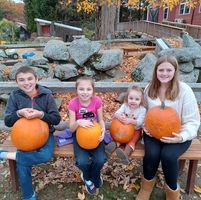 Jackie Phelan's profile image