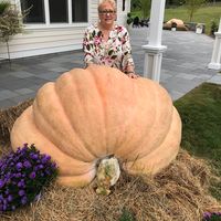 Barbara Ann Rojecki Godzik's profile image