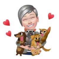 Dianne Snater's profile image