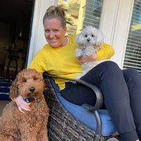 Amy Little's profile image