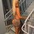Emilie Sande's profile image