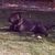 Nerissa Wright's profile image
