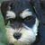 Derrick Arrington's profile image