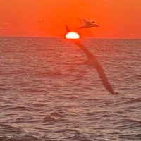 Mark Haack's profile image