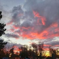 Shannon Showalter's profile image