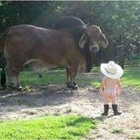 Mike Townsend's profile image