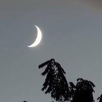 Karen Sundly's profile image