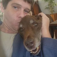 Daniel Schmidt's profile image