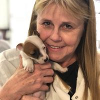 Beverley Toney's profile image