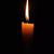 Jela Gomez-Demers's profile image