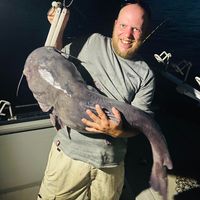 Mark Devens's profile image
