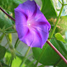 Janie G.'s profile image
