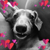 Karen Reed Dixon's profile image