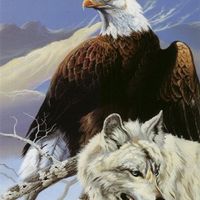 Rod Huebschwerlen's profile image