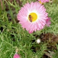 Margie Donegan's profile image