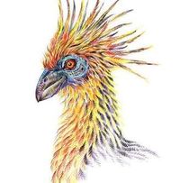 Yerry Ray's profile image