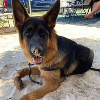Juli Ann's profile image