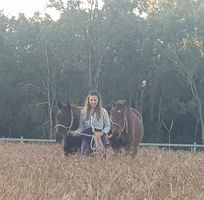 Ashleigh Rafferty's profile image