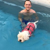 Tim Rivett's profile image