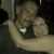 John Garcia's profile image