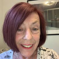 Mary Jo Daley's profile image