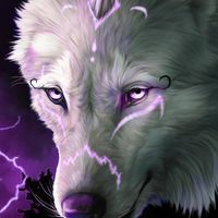 Runette Shaw's profile image