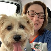 Shannon Neal's profile image