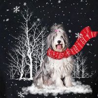 Jeff Neal's profile image